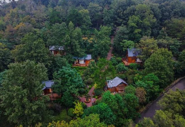 刷屏了巢湖这里，美了600年