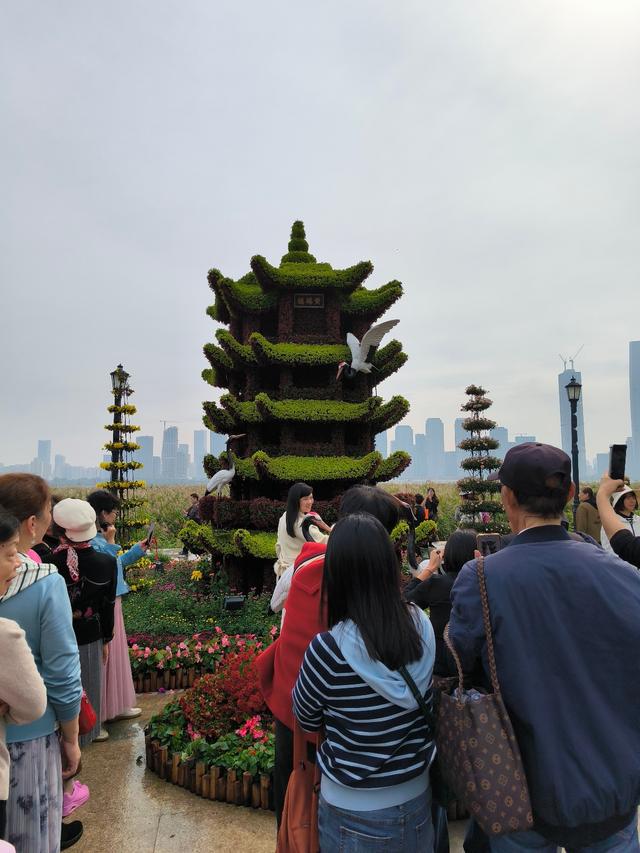 武汉市2025年金秋菊展今日开幕：共展出60余万盆菊花，“黄鹤楼” “巴公房子”亮相展区