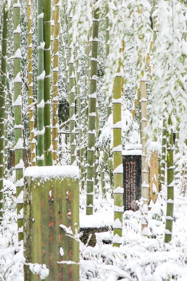 桃源深处、武陵主峰，梵净山何以跻身世界遗产？