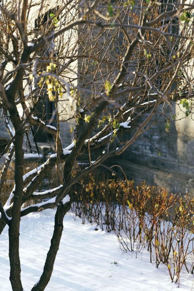 来呼和浩特的理由又多了一个️⇒ 这两处雪景打卡点太好拍了