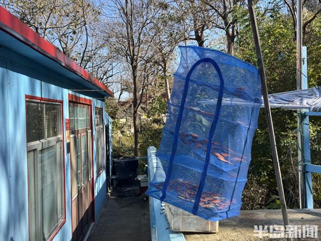 青岛宝藏海岛｜游客爆炸式增长，昔日偏远小岛变身旅游胜地