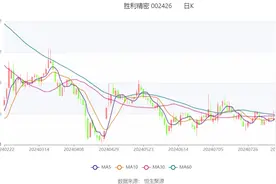 胜利精密：2024年上半年盈利1660.19万元 同比扭亏图片
