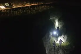 围猎野猪之夜：一半是赏金，一半是流量图片
