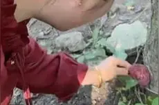通体鲜红，杭州姑娘捡到怪蘑菇！网友炸锅：1809元/斤！图片