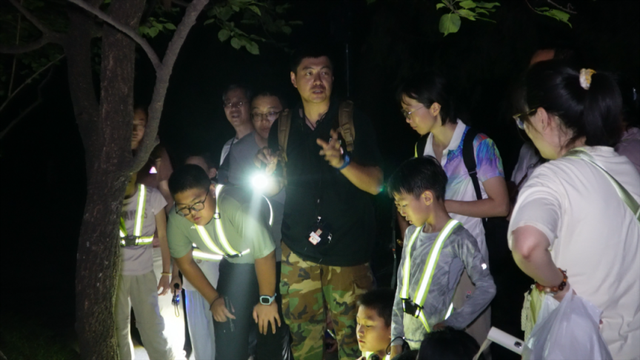 “香山奇妙夜”有这些发现