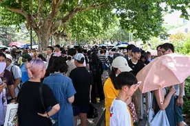 上海古埃及文明展“堪比迪士尼”：队伍从一楼排到二楼，周边酒店预定增长20%图片