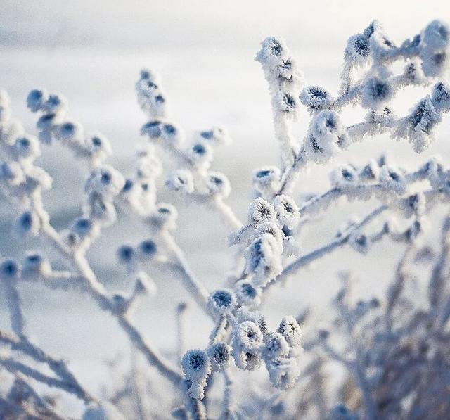 中国最美雾凇观赏地，在哪？