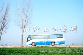 评论丨是什么让他们跨乡越市赴一场大戏？图片