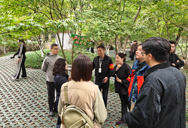 “党建红”点亮“枫”景丨栖霞山 “红枫护卫队” 上线！