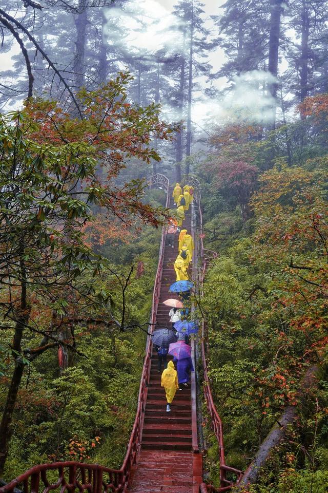 别等天晴了！雨天的秋日瓦屋，藏着你没见过的朦胧浪漫