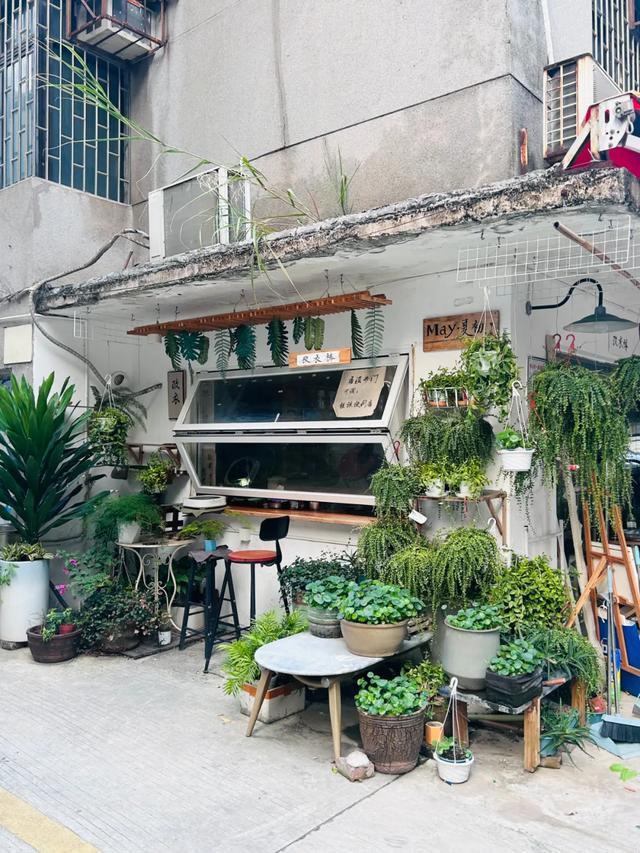 一座低调好玩的城市,花100块就能逛吃一整天!