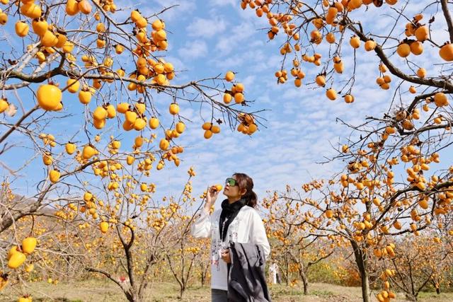 又好吃又好看！日照这里，火成新晋顶流！