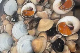 乘着地铁逛青岛|来这些地方赶海，感受“爆桶”快乐！图片