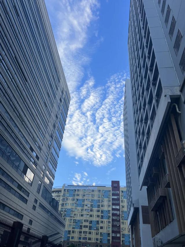 今日心愿：想看看晴天的龙华