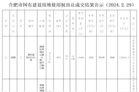 合肥节后首场土拍揽金32.3亿元，地块最高溢价率54%图片