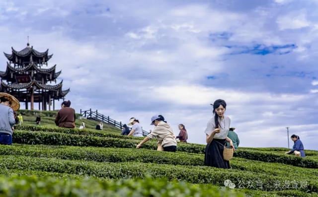 从“出圈地”到“取景地”,宣恩如何让“流量”变“留量”?