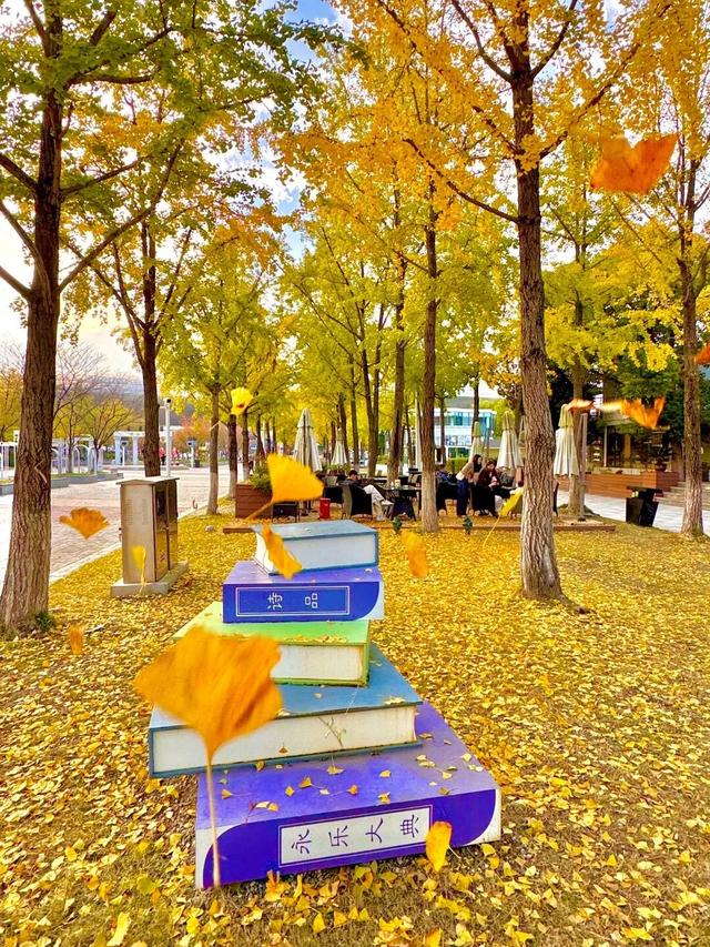 “含金量”还在上升！南京的浪漫藏不住了