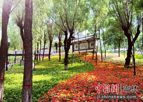 长春市新民大街隔壁有座“宝藏公园”