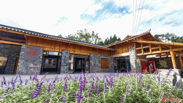 以前盼客来又怕留不住，现在家家户户都能接待——南川山王坪村的民宿“突围记”