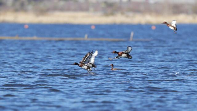 腾冲，真的值得来一趟！丨解锁云南小众宝藏地图·腾冲科学家论坛特别篇