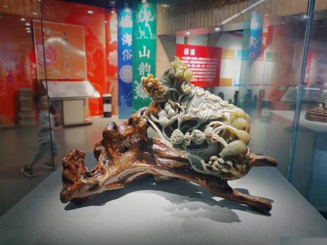 秋日降温寻暖！来防城港看橘子海、拍漂亮照~