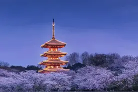 武汉电信5G-A全面护航樱花季图片