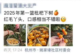 最贵100元/斤！杭州正式上市，老板电话被打爆！很多人都在盼，终于来了图片