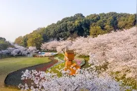上方山百花节在太湖风景名胜区石湖景区举行图片