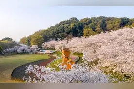 上方山百花节在太湖风景名胜区石湖景区举行图片