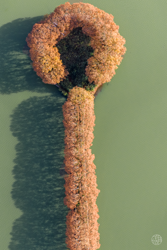 东湖「巨物」图鉴，打卡XXXXL号视觉震撼！