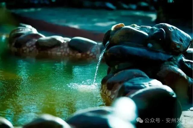 乐游绵阳 清凉一夏 ‖ 啥？温泉+冰泉！这个夏天快来安州解锁新玩法！