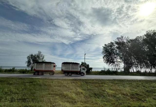 从泰南到泰北，有日常温度，也有文化深度