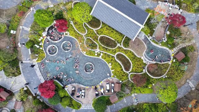 贵州“省花”，在毕节？