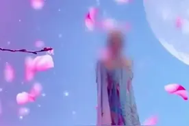 百万粉丝网红遭熟人杀害藏尸，"曾想将他卖到缅甸再赚一笔"图片