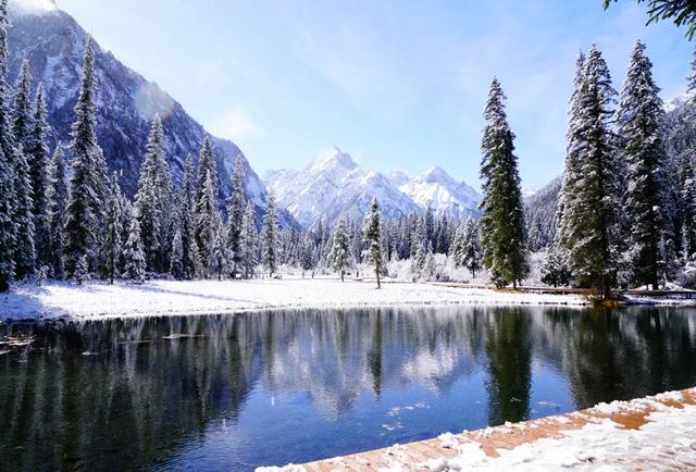 青睐绵阳 ‖ 彩林未尽,大雪已至!初冬的平武美成水墨画卷~