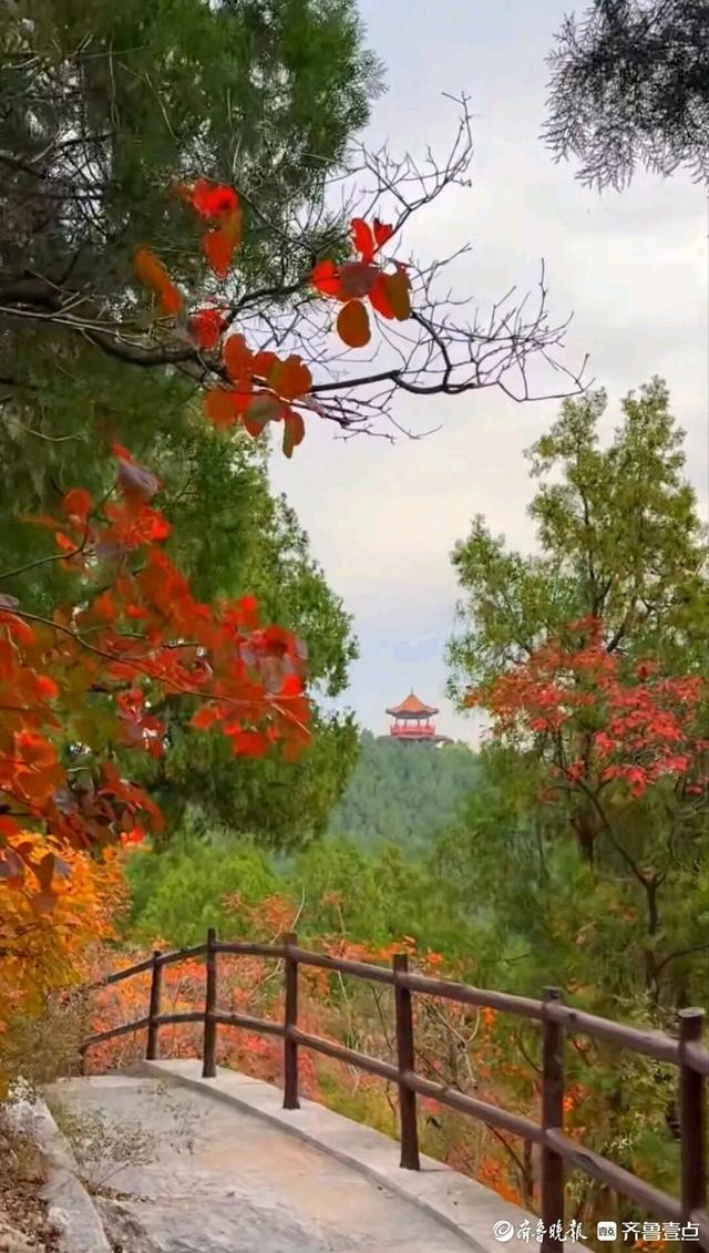 邂逅浪漫秋光，济南市多家公园景区秋色已备好