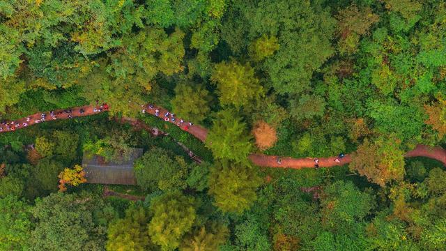 2025都江堰文化遗产步道发布仪式暨系列主题活动正式启动