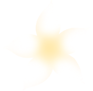 “暖冬遇见防城港”白浪滩景区沙滩车免费趣味体验活动为马拉松奔跑点燃激情！！！