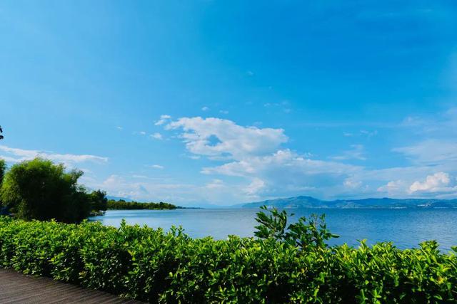 大理最治愈的129公里：这个夏天，在洱海边找到生活的解药