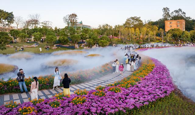 广西南宁：水雾弥漫绚烂花海 市民乐享冬日浪漫