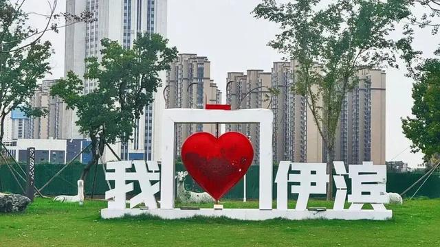 被圈“粉”！洛阳秋天的专属粉色浪漫藏在这些地方