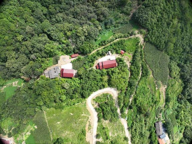 保康县：绿遍山原 林翠满川
