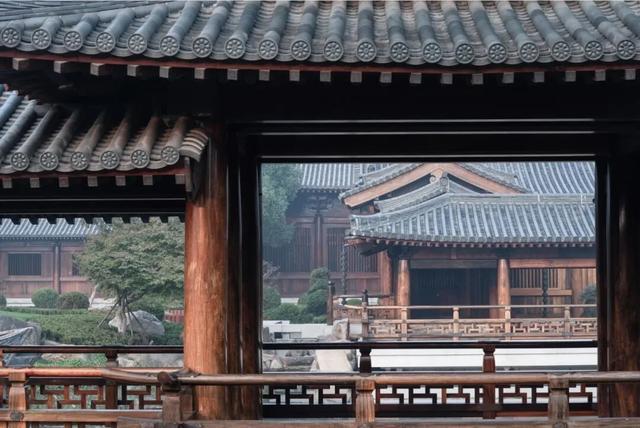 枫叶红了！上海这座古建筑，竟然能一秒穿越回大唐→
