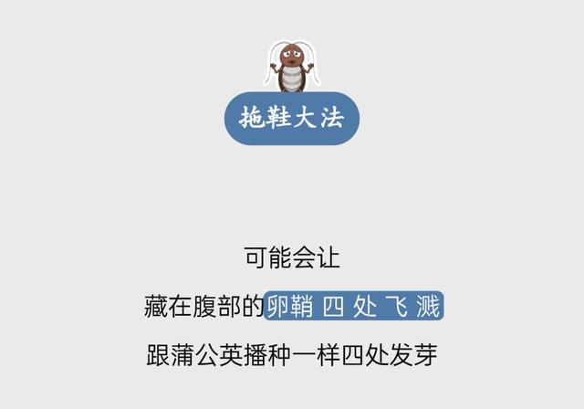 头皮发麻！蟑螂会咬人？专家说……