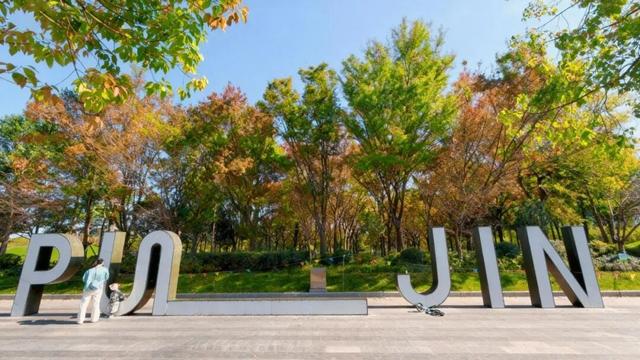 周末好天气，来闵行这些公园遇见最美秋色！