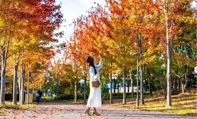 网红纷纷奔赴这！上海这座通往 “欧洲城堡” 的绝美旋梯火了！