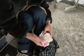 暖心！七旬卖菜太婆捡到旧包竟有千元现金，跟街坊一起寻访归还住院老人图片