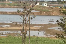 “1700万农文旅项目遭堵门”引发关注 当地回应图片