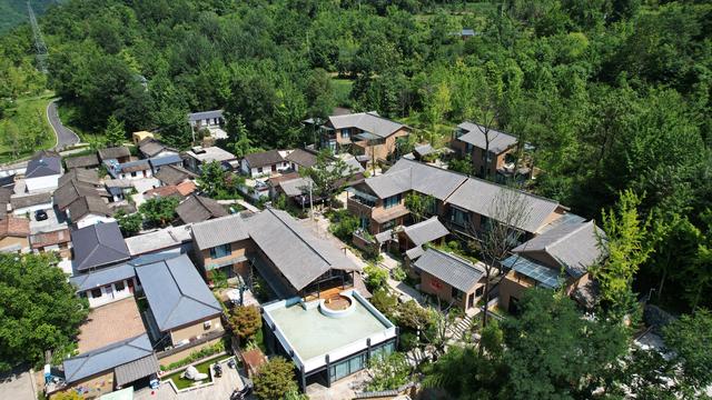 新华全媒＋｜嘉陵江畔千年银杏唤醒古村文旅新篇