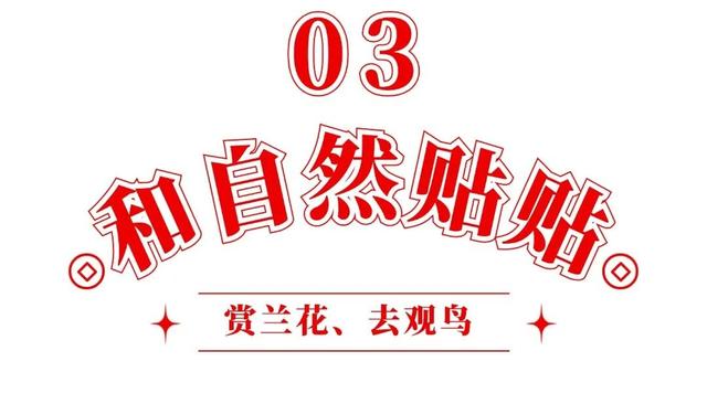 跨年别宅家！武汉公园元旦3天玩法全攻略来了